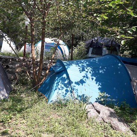 Kamp Seosko Domacinstvo Radman Herceg Novi Exterior foto