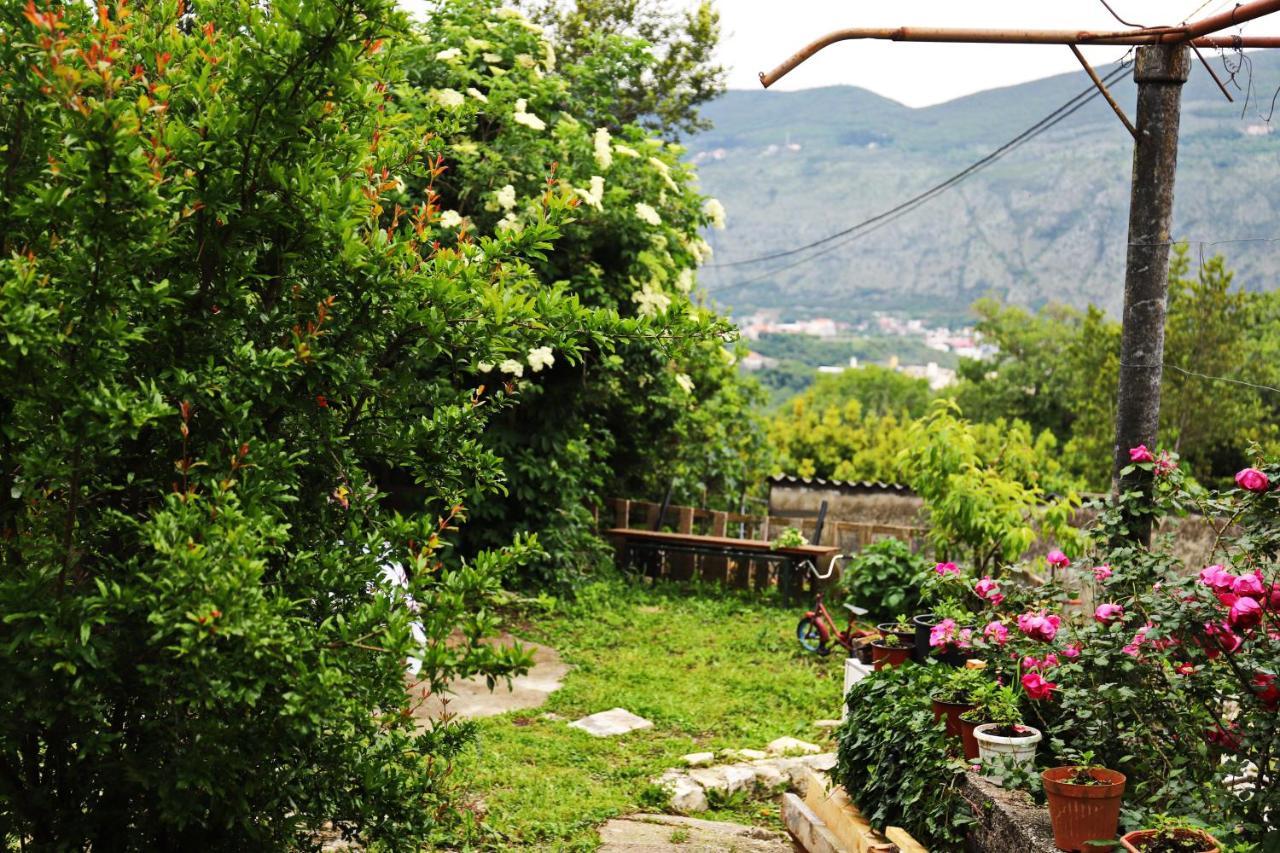 Kamp Seosko Domacinstvo Radman Herceg Novi Exterior foto