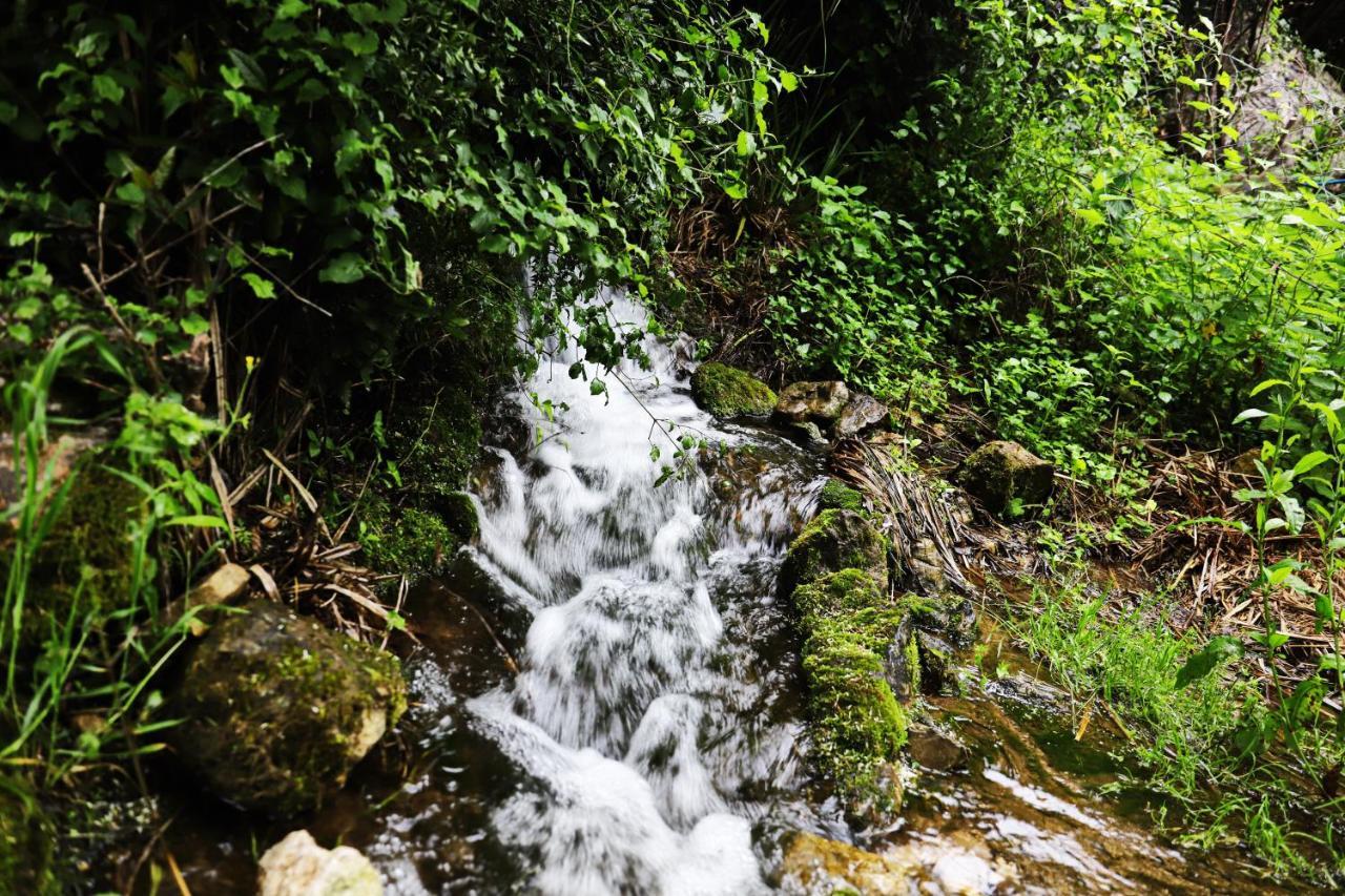 Kamp Seosko Domacinstvo Radman Herceg Novi Exterior foto