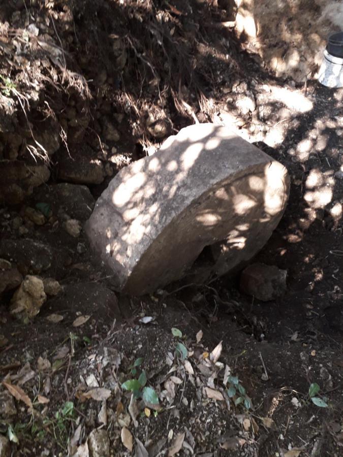 Kamp Seosko Domacinstvo Radman Herceg Novi Exterior foto