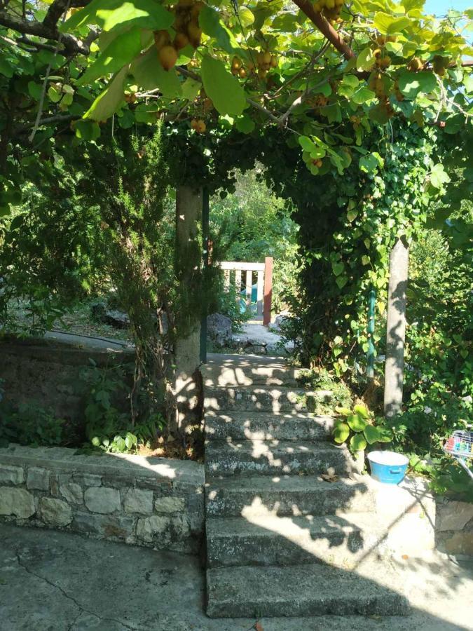 Kamp Seosko Domacinstvo Radman Herceg Novi Exterior foto
