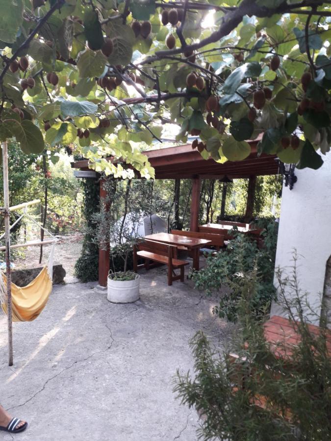 Kamp Seosko Domacinstvo Radman Herceg Novi Exterior foto