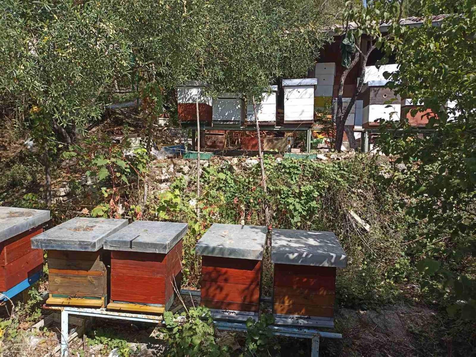 Kamp Seosko Domacinstvo Radman Herceg Novi Exterior foto