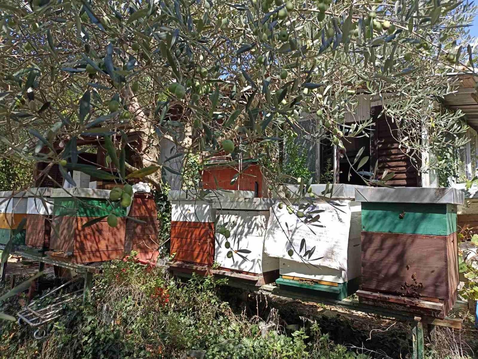 Kamp Seosko Domacinstvo Radman Herceg Novi Exterior foto
