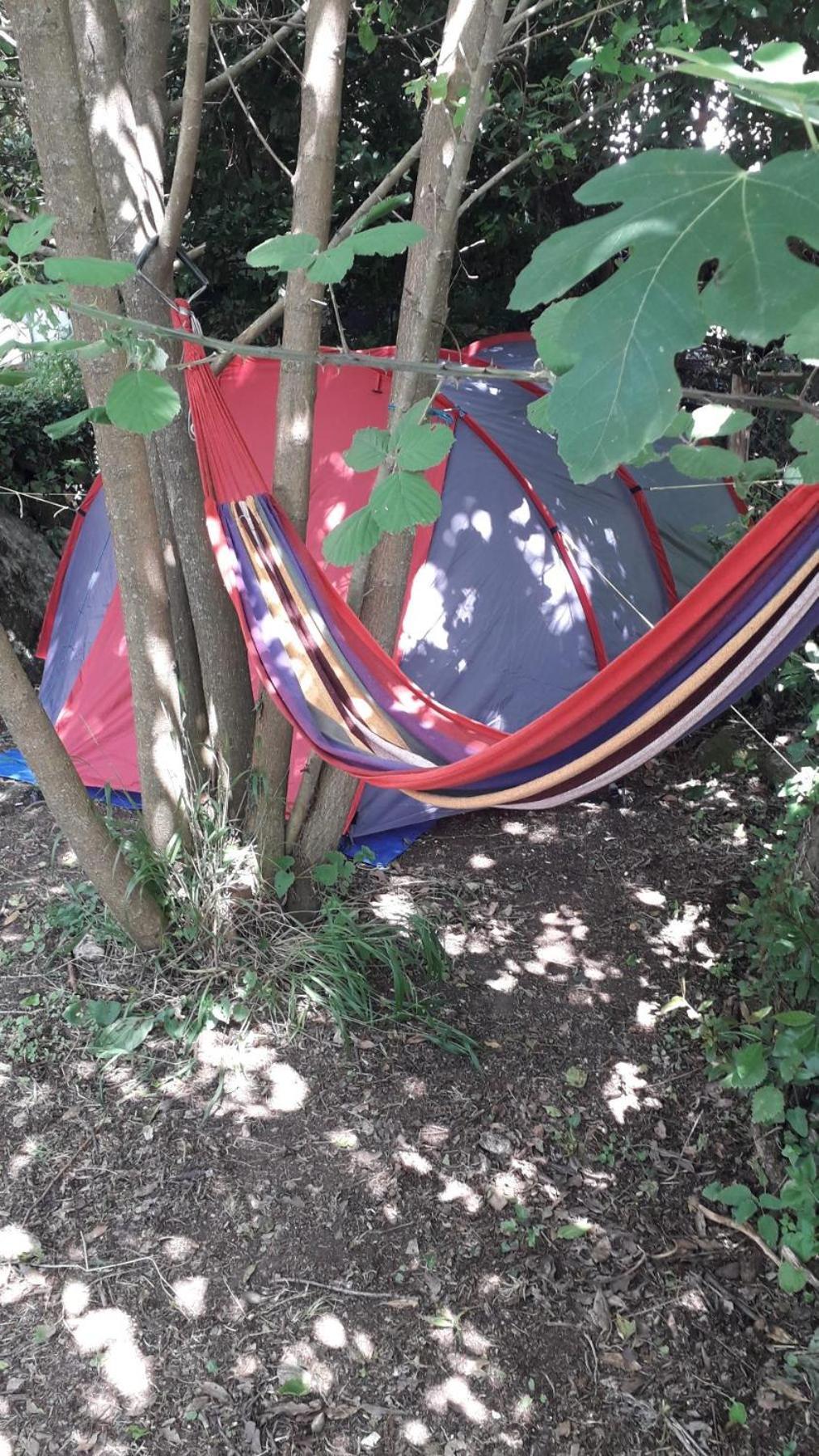 Kamp Seosko Domacinstvo Radman Herceg Novi Exterior foto
